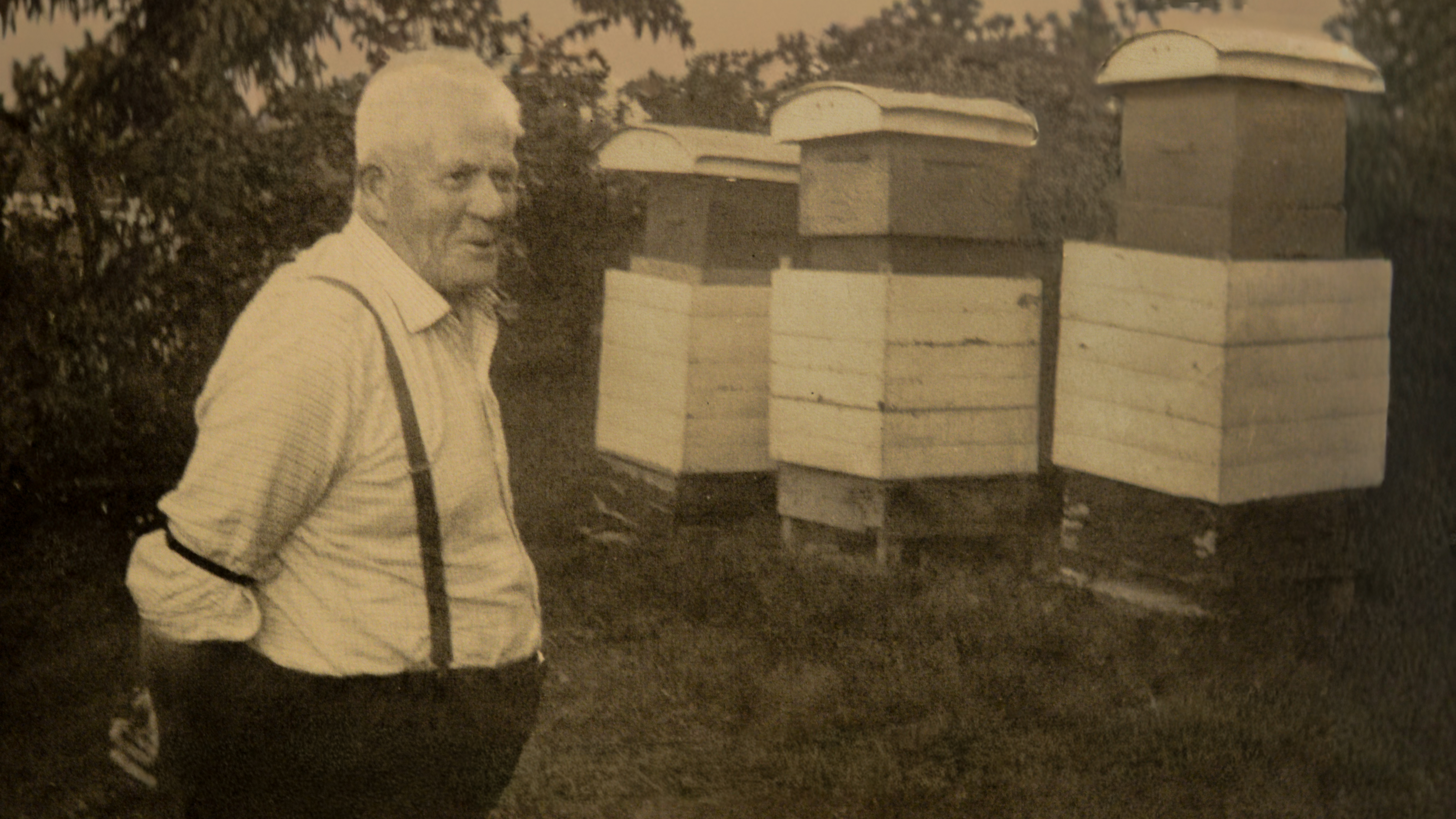 Tippoldefar, 1893-1987 - Begynnelsen på arven